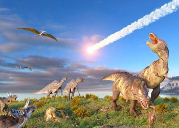 UK company Lab-Grown Leather attempting to grow T rex leather to make luxury accessories