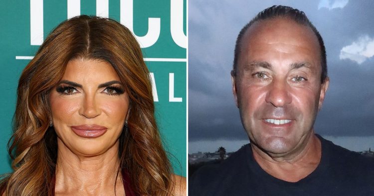 Why Teresa Giudice Didn’t Expect to Serve Time in Prison