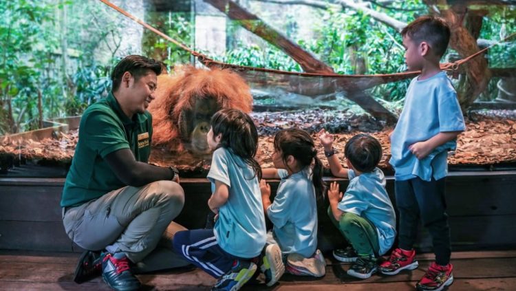 Mandai Wildlife Reserve to add overnight camping experience and a ZooSchool for kids in coming months